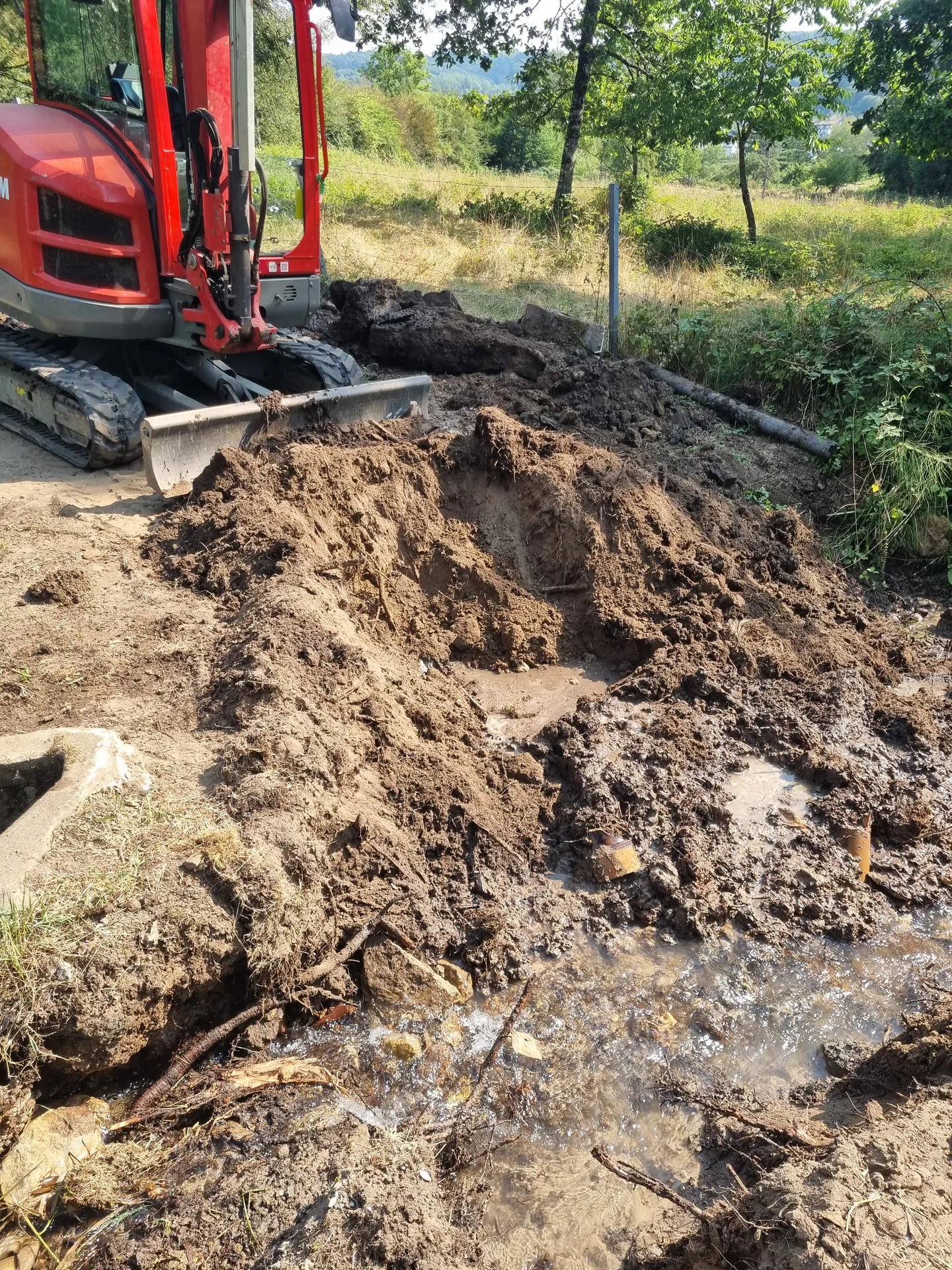 Travaux à la mini-pelle sur la berge de l’étang